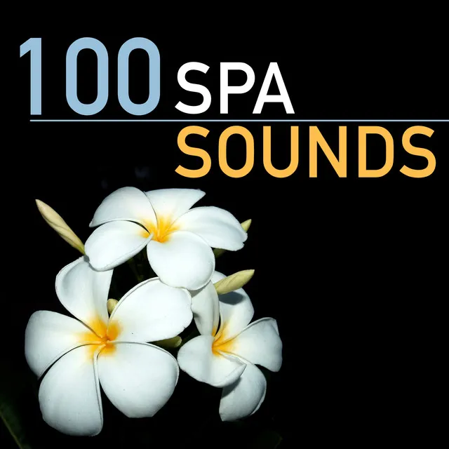 100 Spa Sounds - Soothing Sound Collective for Inner Peace and Wellness Mindfulness Meditation