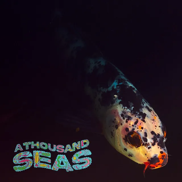 A Thousand Seas