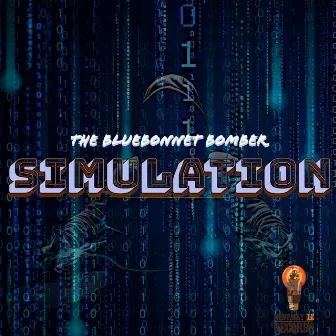 Simulation by The Bluebonnet Bomber