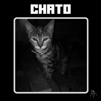 CHATO by Xiko Robot