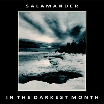 In the Darkest Month by Salamander