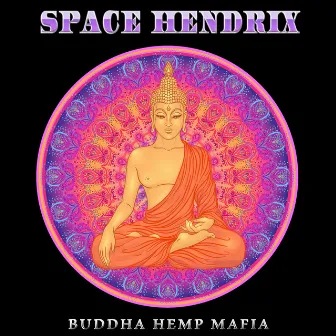 Trippy Hippie by Space Hendrix