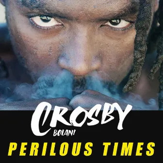 Perilous Times by Crosby Bolani