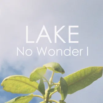 No Wonder I - Single by LAKE