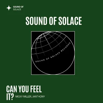 Can You Feel It? (Extended Mix) by Micky Miller