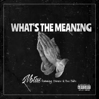 What's The Meaning by Motus