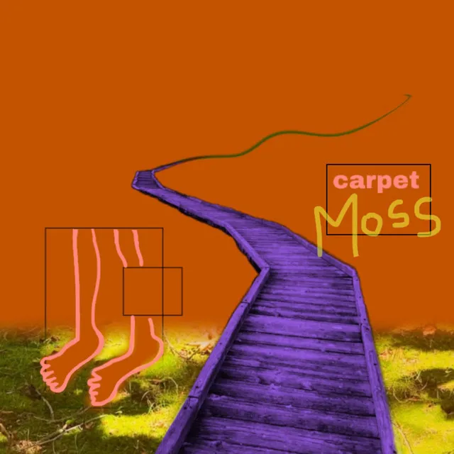 Carpet Moss