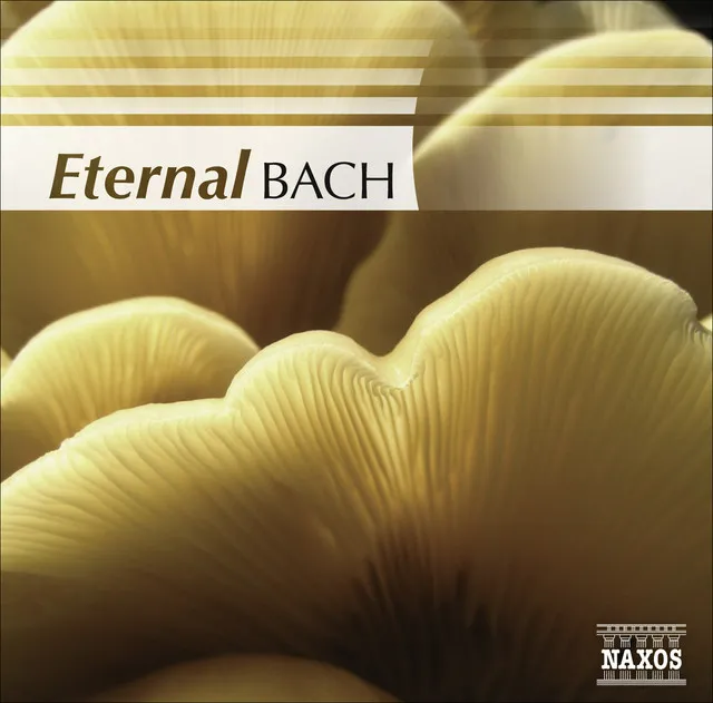 The Well-Tempered Clavier, Book I: Prelude No. 1 in C Major, BWV 846