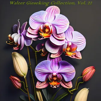 Walter Gieseking Collection, Vol. 22 by Bernard Walton