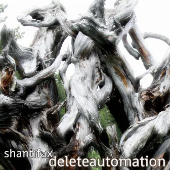 Delete Automation by Shantifax