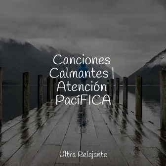 Canciones Calmantes | Atención PacíFICA by Meditacion Budista Maestros