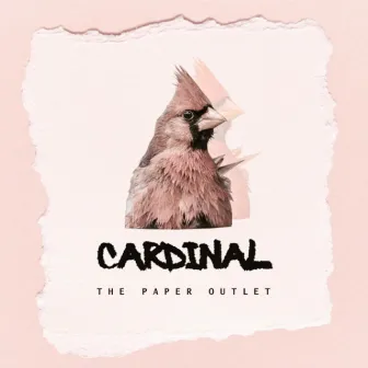 Cardinal by The Paper Outlet