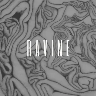 Haunted (The Band Camino) by Ravine