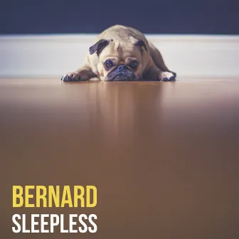 Sleepless by Bernard