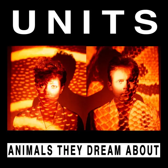 Animals They Dream About