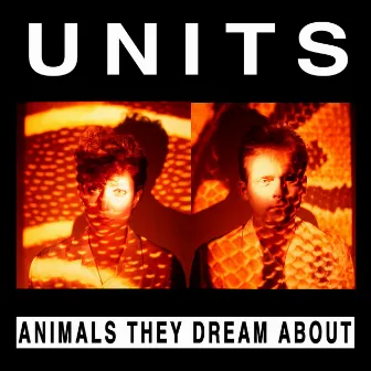 Animals They Dream About by Units