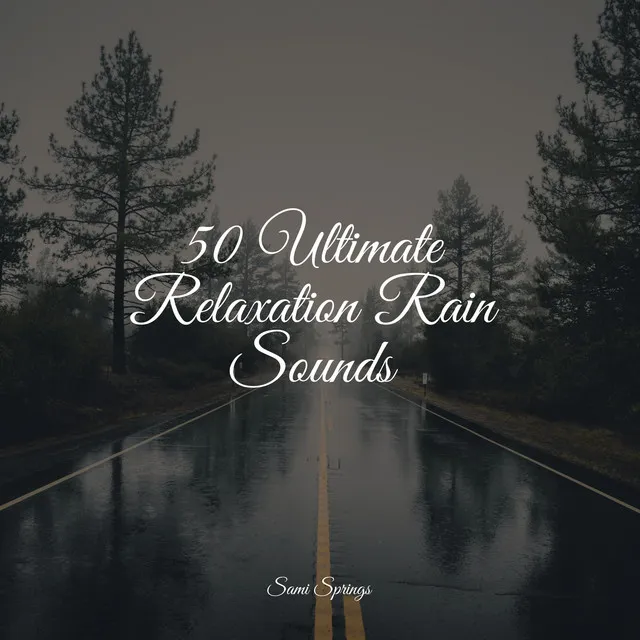 50 Calming Rain Sounds for Deep Sleep