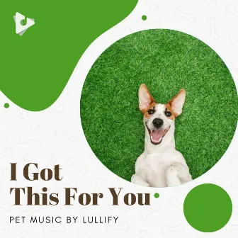 I Got This For You by Pet Music by Lullify