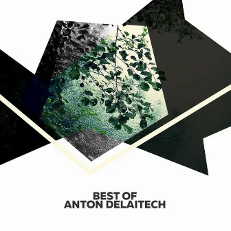 Best Of by Anton Delaitech