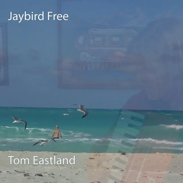 Jaybird Free