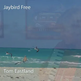 Jaybird Free by Tom Eastland