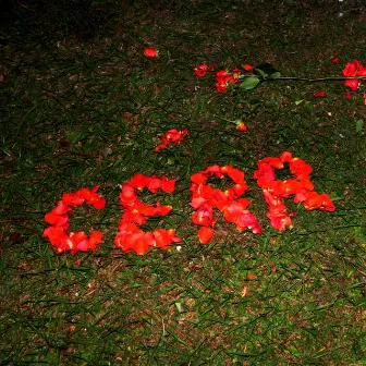 We Love You Cerr by CERR