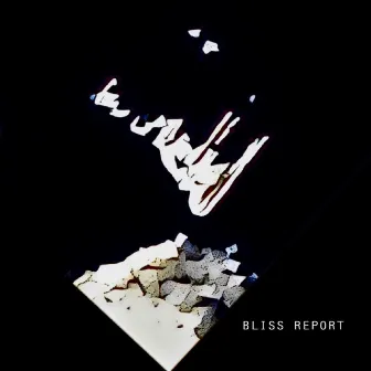 47 Days by Bliss Report