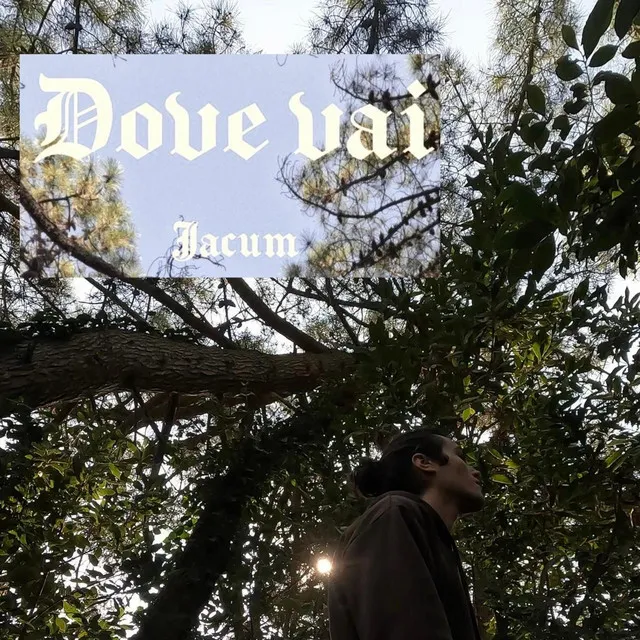 DOVE VAI