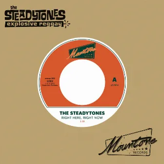 Right Here, Right Now by The Steadytones