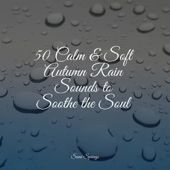 50 Calm & Soft Autumn Rain Sounds to Soothe the Soul by Rain Sounds ACE