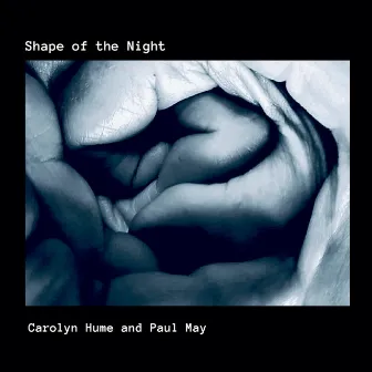 Shape of the Night by Carolyn Hume