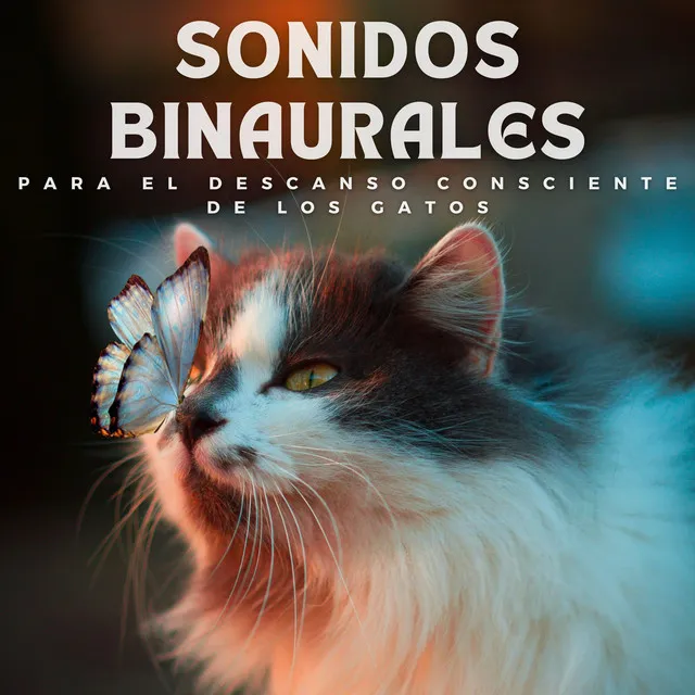 Sonidos Binaurales Para El Descanso Consciente De Los Gatos