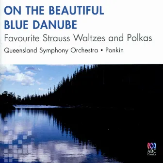 Strauss: Favourite Waltzes and Polkas by Vladimir Ponkin