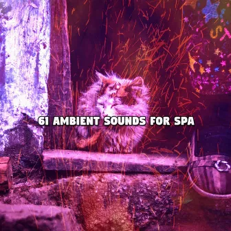 61 Ambient Sounds For Spa by Pet Relax Academy