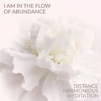 I Am in the Flow of Abundance: Distance Harmonious Meditation, Living in the Flow and Activation of the Flow by Daily Mantra Meditation