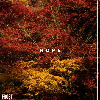 Hope by FrosT