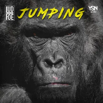 Jumping by Lud Foe