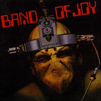 Band Of Joy by Band of Joy