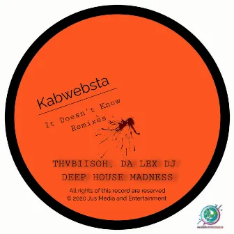 It Doesn't Know (Remixes) by Kabwebsta