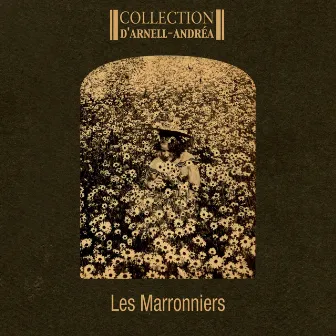 Les marronniers by Collection D'Arnell-Andrea