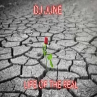 Life of the real by DJ June