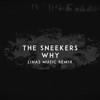 Why (Linas Music Remix) by Linas Music