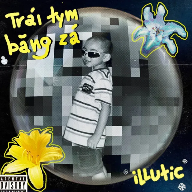 Trái Tym Băng Zá