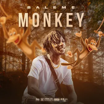 Monkey by Baleme