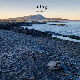 Luing by Lapwing