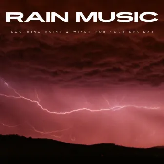 Rain Music: Soothing Rains & Winds For Your Spa Day by Spa Day At Home