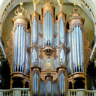 Promenade musicale à l'Orgue de Saint-Louis en l'Île by Didier Hennuyer