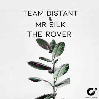 The Rover by Mr Silk