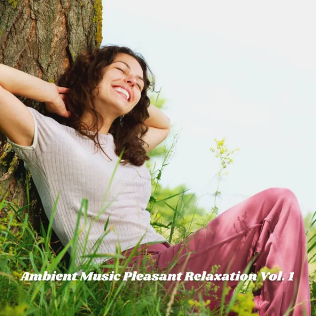 Ambient Music Pleasant Relaxation Vol. 1