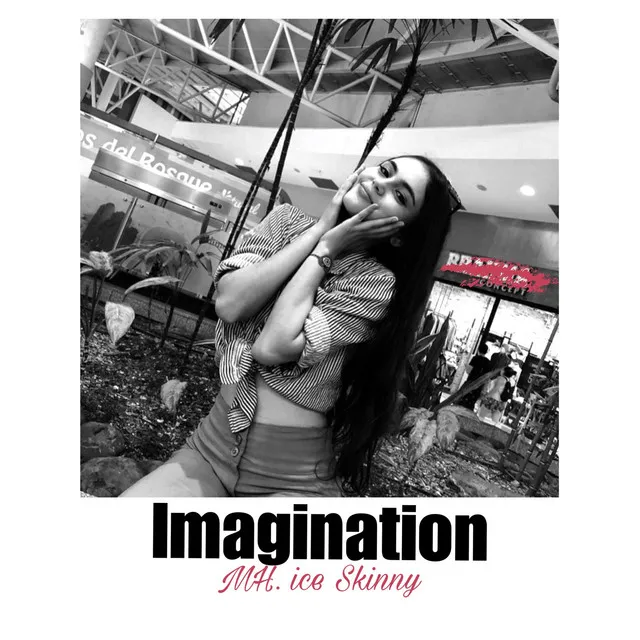 Imagination